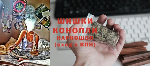 2c-b Краснослободск