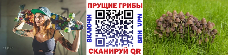 Галлюциногенные грибы MAGIC MUSHROOMS  Купить  Верея 